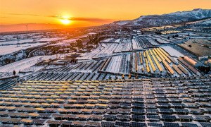 太阳能发电装机规模今年有望首超煤电，“中国将取得里程碑式的进展”