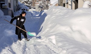 雪灾极寒天气致日本42死，美国超100死；日本多因事故，美国…