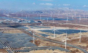 “在可再生能源领域，若还在犹豫要不要与中国合作，将越来越被甩进尘埃里”