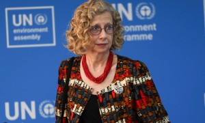 “高度赞赏中方的领导作用，投入了真金白银”