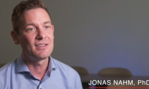 美教授想不通：我们对中国具备优势，咋不用呢？