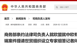 欧盟就中欧有关世贸争端案件提请设立专家组，中方回应