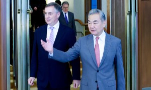 欧洲议会外委会首次派团访华，王毅应询就多个问题阐述中方立场