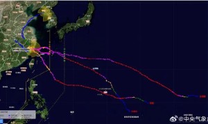 48天内三台风“打卡”同街道，为何是这里？