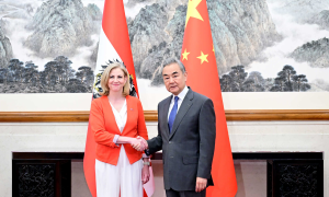 王毅：中国发展是欧洲的机遇而非挑战