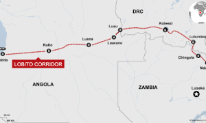 美媒不装了：瓜分非洲，对抗中国，我们终于做对了