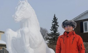 馬到成功：蒙城藝術家張樹峰雪雕作品完成