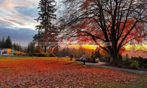 温哥华人看过来！12件事测试你在本地生活完成度