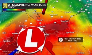 安省周日暴雨来袭！局部或超50毫米，有强雷暴风险