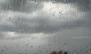 安省多地暴雨警报：局部或再降40毫米，居民须警惕积水