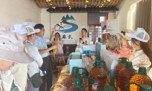 “千名网红游古镇”采风活动启幕 网络达人用镜头擦亮平凉避暑名