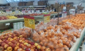 合資格家庭雜貨補貼6月發放   最高可拿533