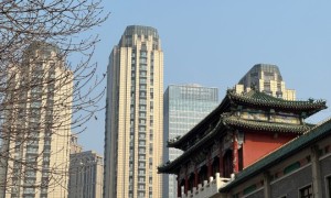有華人吐槽加籍沒優勢   準備恢復中國籍