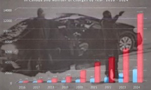印度黑幫入境加拿大變槍手涉案增88倍